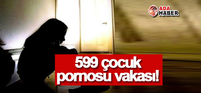 4 yılda 599 çocuk pornosu vakası