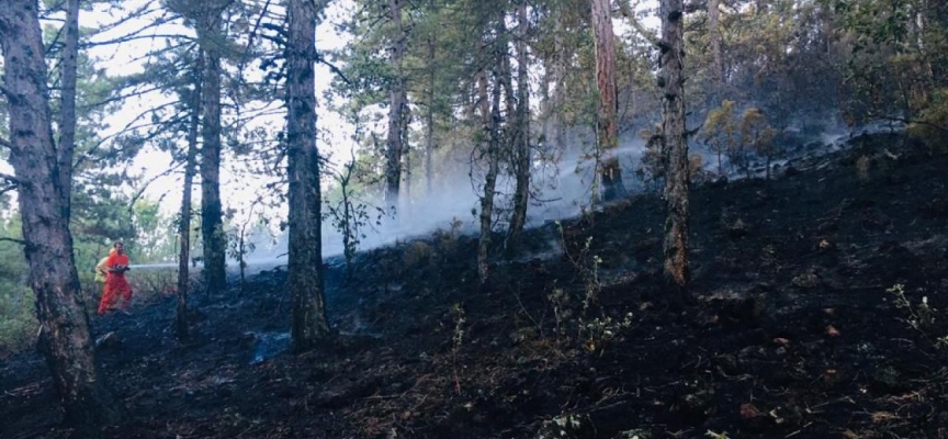 Kütahya'da ormanlık alandaki yangına müdahale ediliyor