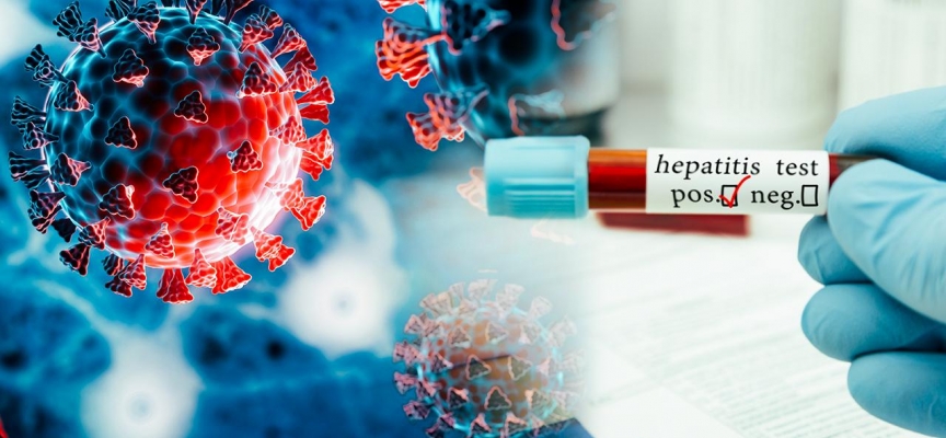 İklim değişikliği kaynaklı doğal afetler, bulaşıcı hastalıkların şiddetini artırıyor