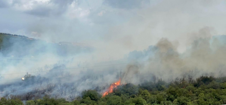 Kocaeli'de ormanlık alanda çıkan yangına müdahale ediliyor