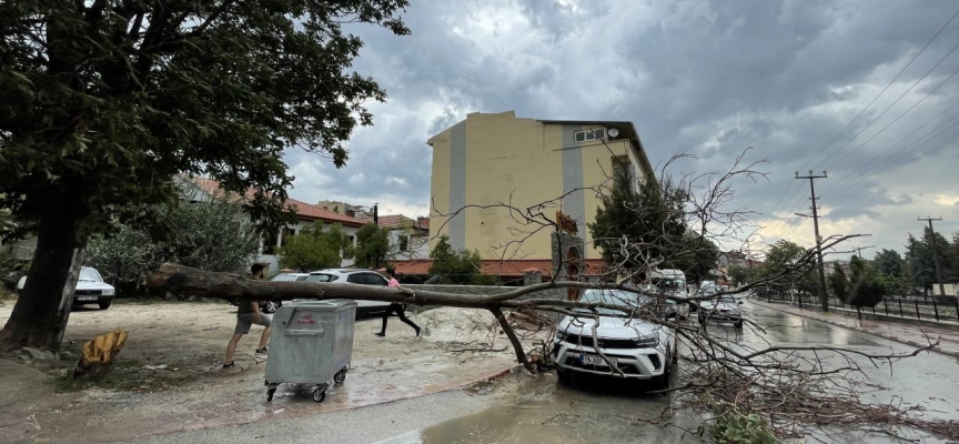 Burdur'da kuvvetli rüzgar ve sağanaktan dolayı ağaçlar devrildi