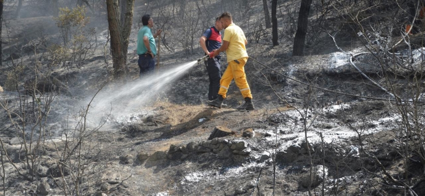 Tokat'taki orman yangınında 5 dönümlük alan zarar gördü