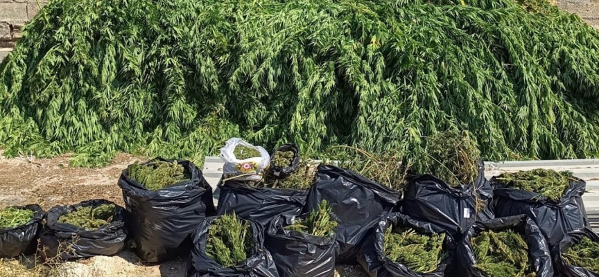 Çiftlik evi uyuşturucu imalathanesi çıktı