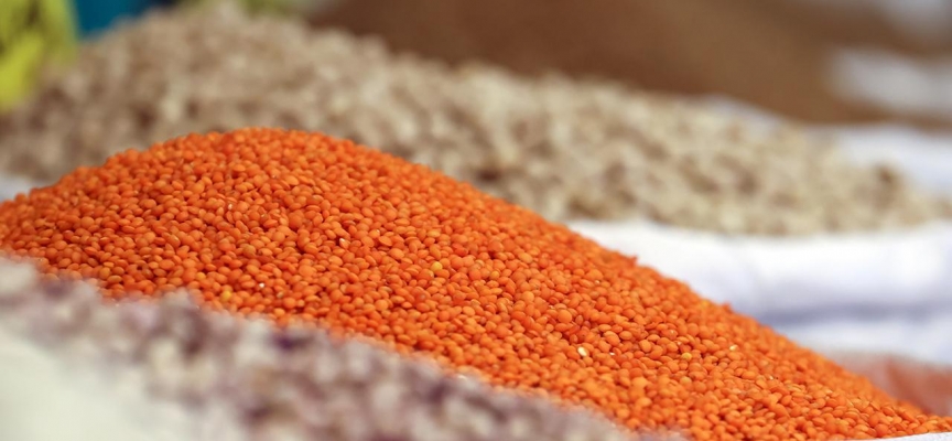 Kabuklu kırmızı mercimek alım fiyatı 15 bin liraya yükseltildi