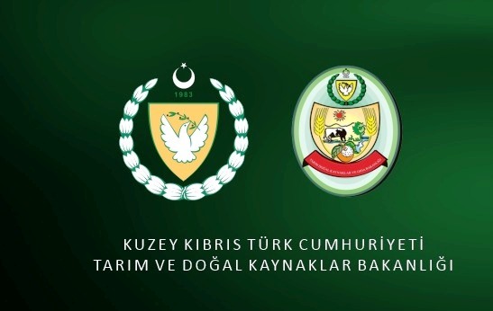 Tarım Bakanlığı’ndan hayvancılara uyarı:Ani yem maddesi değişiklikleri hastalığa yol açabilir