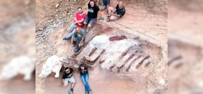 Avrupa'da şimdiye kadarki en büyük dinozor iskeleti: Portekiz'de bulundu
