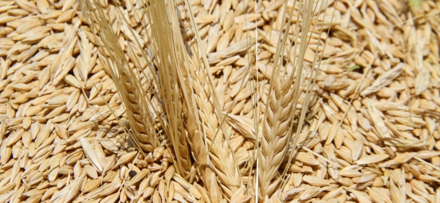 Tarım ihracatında tarihin en yüksek miktarı