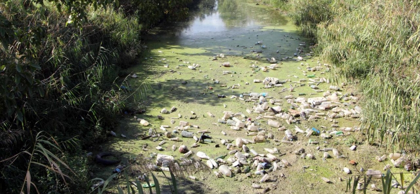 Tunca Nehri otlarla kaplandı, Bayır Deresi çöplüğe döndü