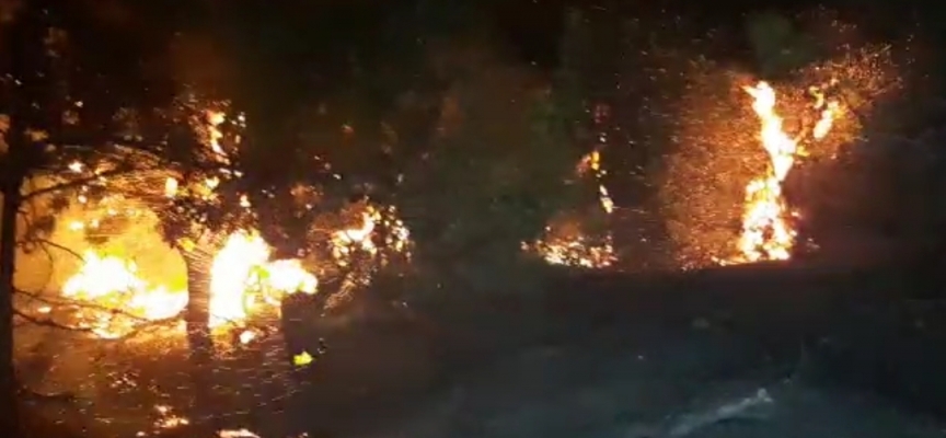 Bir haftada 19 yangın çıktı