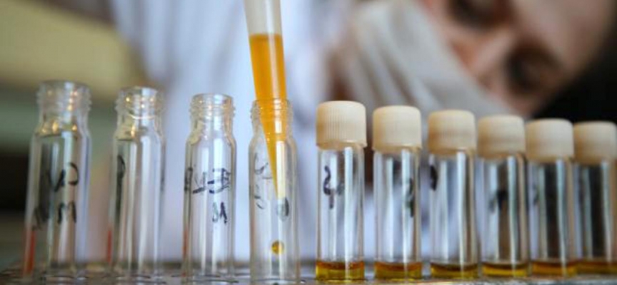 Eylülde en fazla ihracat kimyevi maddeler ve mamullerinde gerçekleşti