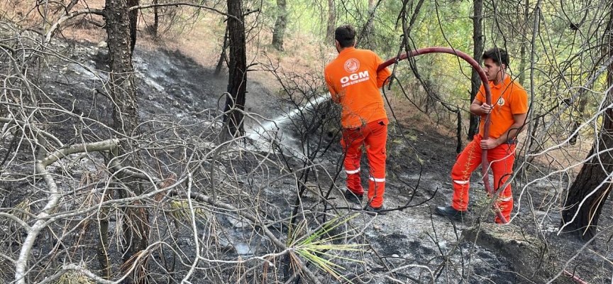 Karabük'te ormanlık alanda çıkan yangın söndürüldü