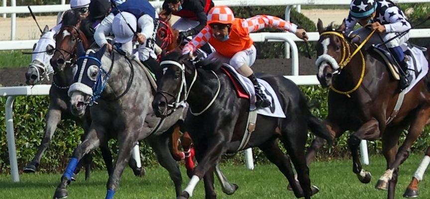 At yarışında iki büyük koşu Ankara'da yapılacak