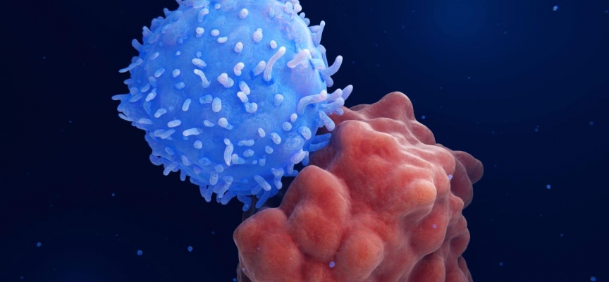 CAR-T Hücre Tedavisi: Kanserin çaresi kendi hücrelerimiz olabilir mi?