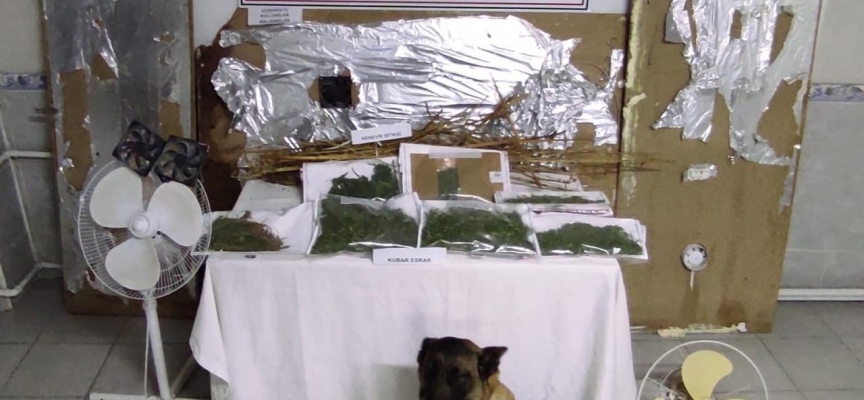 Yozgat’ta bağ evine uyuşturucu operasyonu