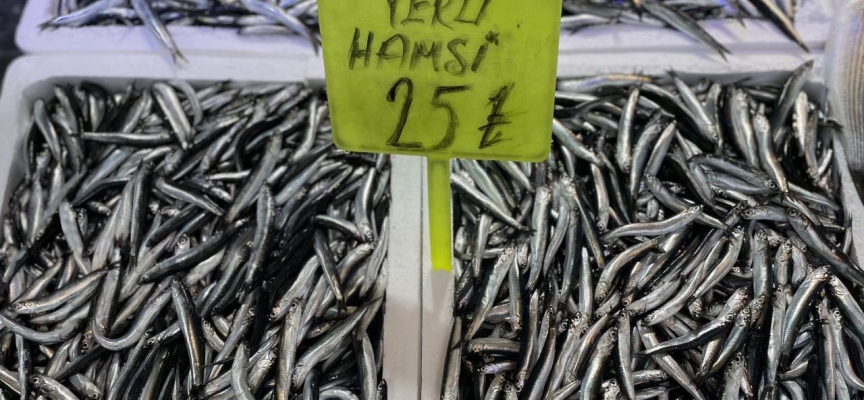 Yerli hamsi 25 liradan tezgahlardaki yerini aldı