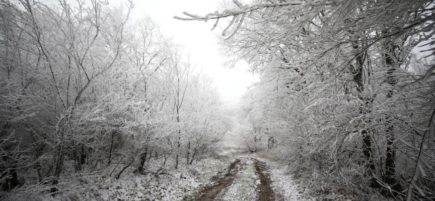 Kırklareli'nin yüksek kesimlerine mevsimin ilk karı yağdı