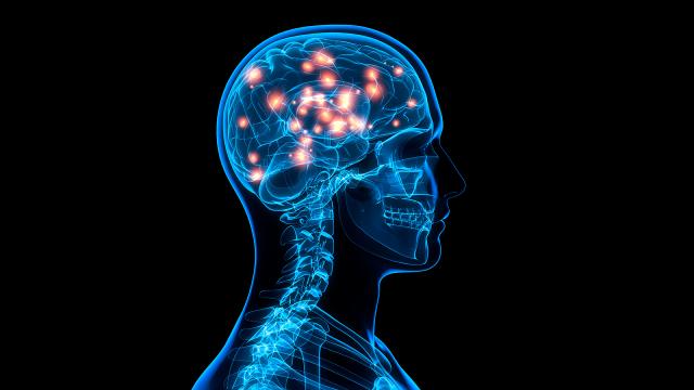 Bilim insanları Alzheimer hastalığı için kan testi geliştirdi