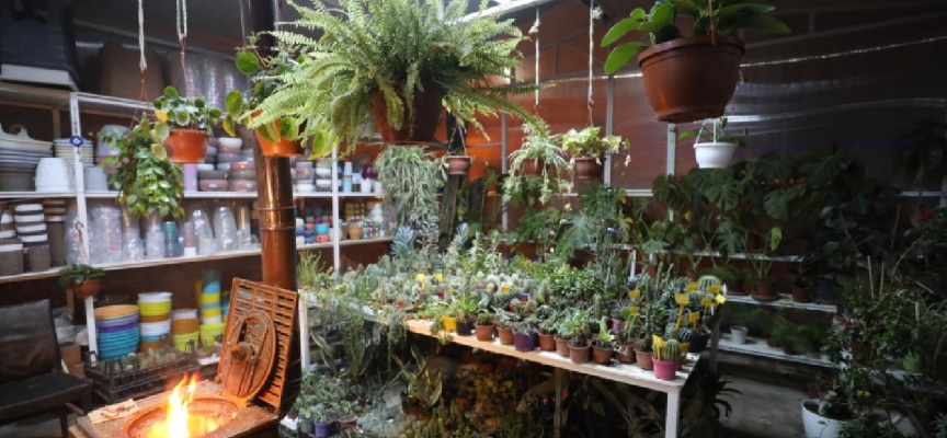 Edirne'de üreticiler "Balkan soğuğuna" karşı seralarda sobalı önlem aldı