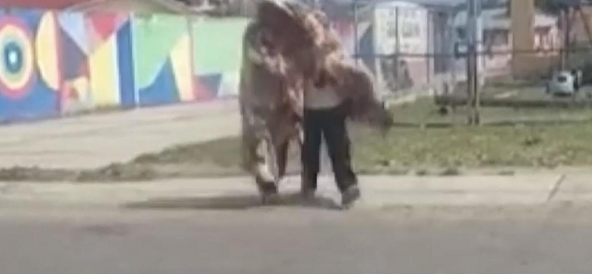 Meksika’da yaban arıları insanlara saldırdı: 1 ölü