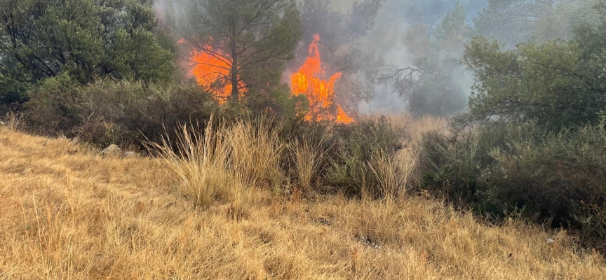 Polis yangının kontrol altına alındığını açıkladı