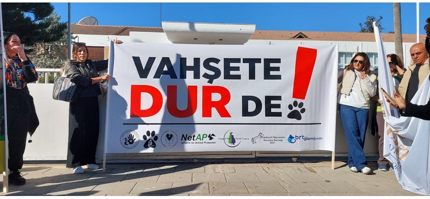 Hayvanseverler eylem yaptı; Hayvan Refahı Yasası Ceza Değişiklik Yasa Önerisi’nin yasalaşması talebi yinelendi