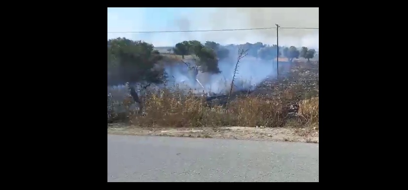 Avtepe-Kuruova arasında yangın