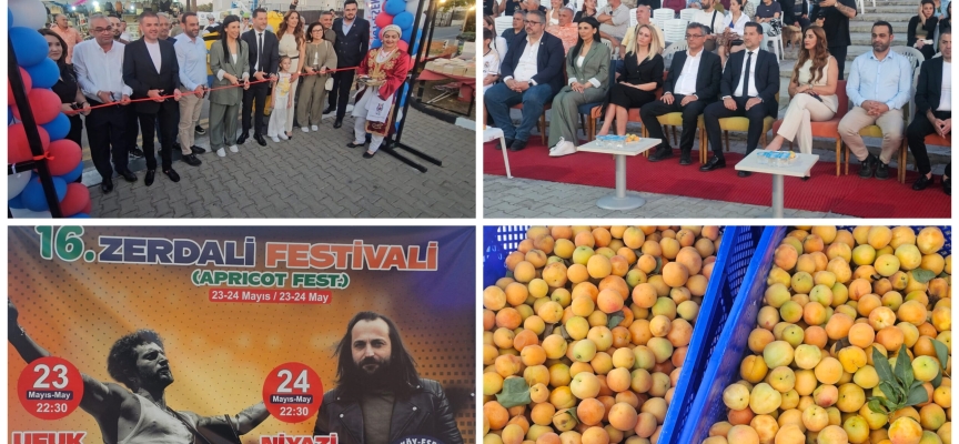 16. Zerdali Festivali başladı