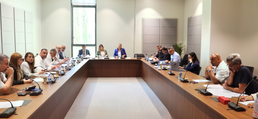 Hukuk, Siyasi İşler, Dışilişkiler ve Savunma Komitesi toplandı