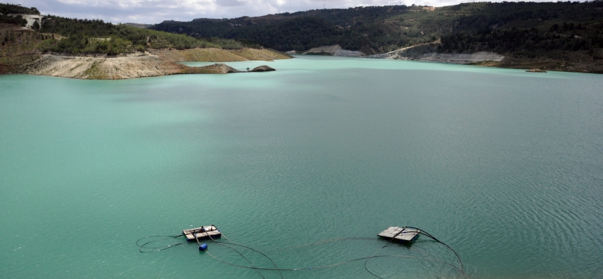 Narenciye Üreticiler Birliği’nden su dağıtımında adalet ve planlama çağrısı