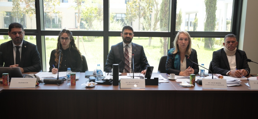 Tapu ve Kadastro Dairesi ile Yataklı Tedavi Kurumları Dairesi yasa tasarılarına komiteden onay…