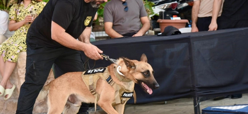 Suçluların korkulu rüyası “süper burun” dedektör köpekler her an göreve hazır