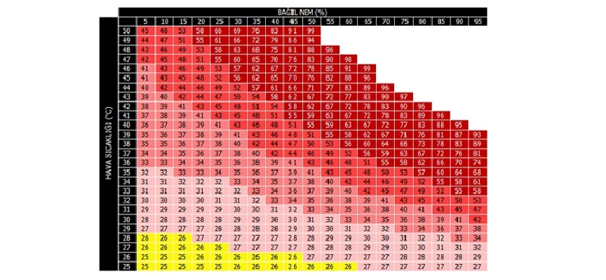 Meteoroloji Mühendisleri Odası: “Gölgede 40 derece ölçülen sıcaklık havadaki nem oranı arttıkça daha yüksek hissedilir”