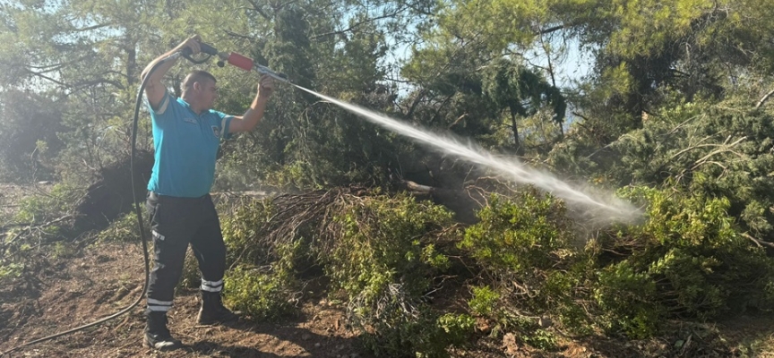 Esentepe-Karaağaç sırtlarındaki yangın…Orman Dairesi Müdürü Poyraz: Yangın, elektrik tellerinin ağaçlara temas etmesi sonucu çıktı