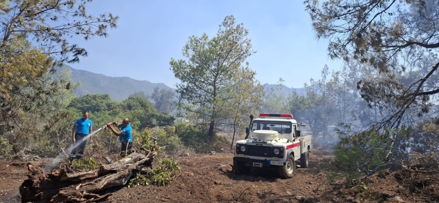 Cahitoğlu: Yapılan hızlı müdahale ile yangın kontrol altına alındı