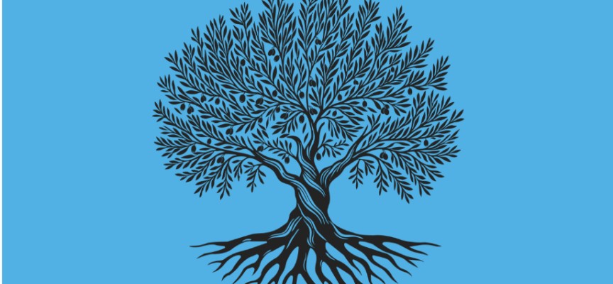 Cenapoğlu: “TAM PARTİ, Lefke’den Dipkarpaz’a kadar sokakları inletecek”