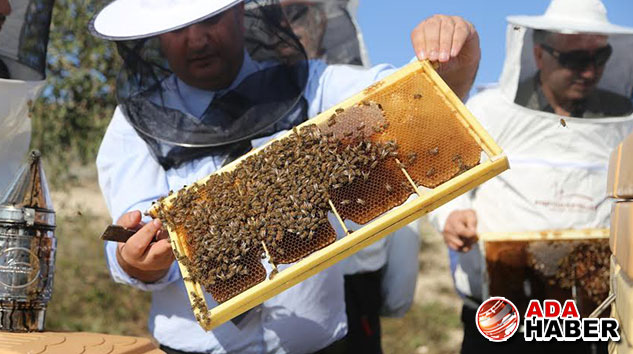 Karpaz'a yapılan en önemli yatırım