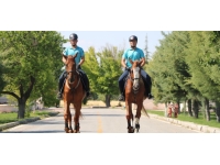 Malatya'da atlı jandarma timi göreve başladı