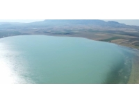 Kuş cenneti Arin Gölü yok olma tehlikesiyle karşı karşıya