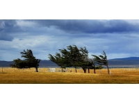 Meteorolojiden kuvvetli rüzgar ve fırtına uyarısı