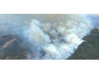 İzmir'de iki ilçede orman yangını