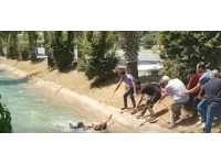 Sulama kanalına düşen çocuğu çevredekiler kurtardı