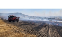 Balıkesir'de tarla yangını