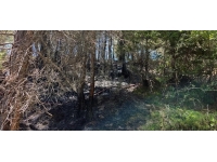 Mersin'de iki noktada çıkan orman yangınları kontrol altına alındı