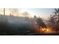 40 dönümlük alanı 'keyfine' yaktı