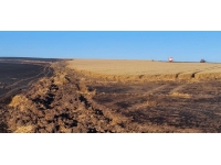 Tekirdağ'da bin dönüm tarım alanı yandı