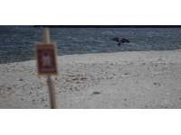 Odessa'da mayın tehlikesi nedeniyle denize girilmiyor