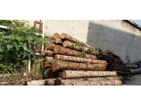 Giresun'da tomruk çalan kişiler tutuklandı