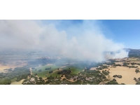 Çanakkale'de orman yangını: Bölgede şiddetli rüzgar etkili