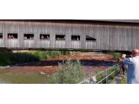 İsviçre’deki Emme Nehri taştı