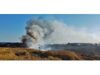 Silivri'de 150 dönümlük buğday tarlası yandı